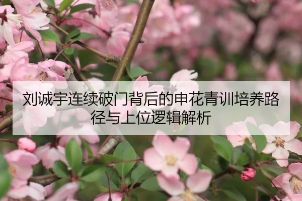 刘诚宇连续破门背后的申花青训培养路径与上位逻辑解析